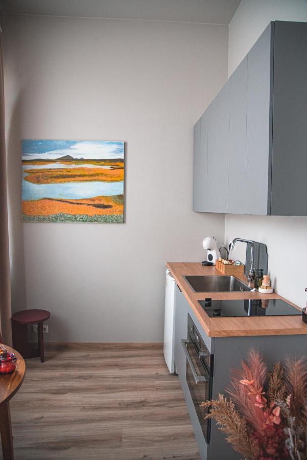 Ferienwohnung Cozy Studio By The City Centre Reykjavík Exterior foto